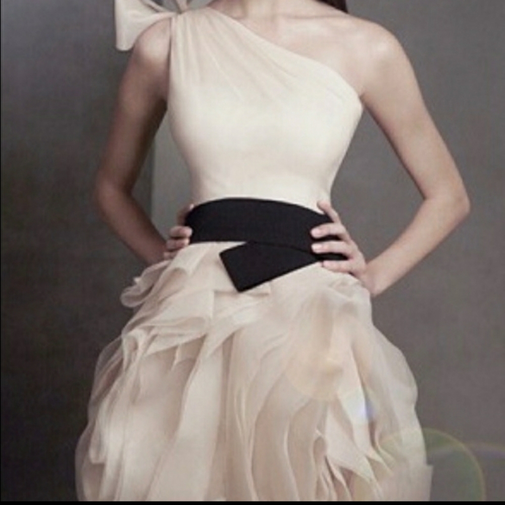 Vera wang dress